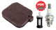 Forester Tune-Up Kit for Stihl Blowers - BG55, BG65, BG85, SH55, SH85 Forester Tune-Up Kit for Stihl Blowers - BG55, BG65, BG85, SH55, SH85